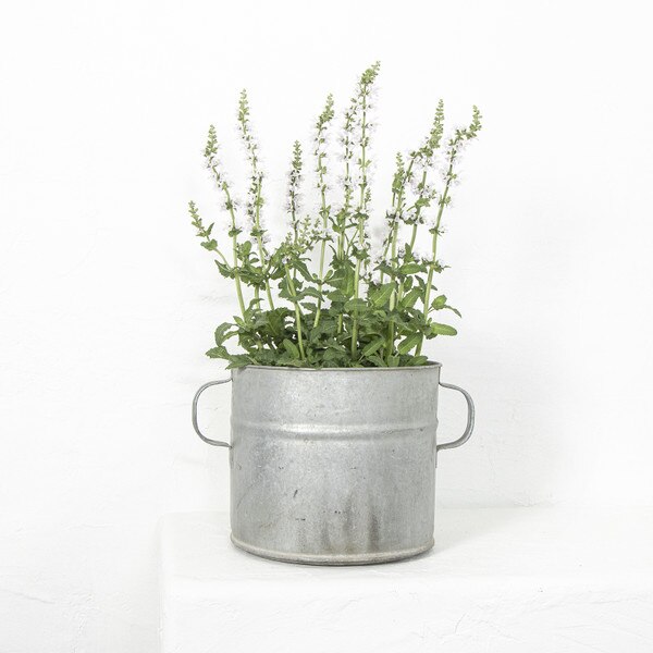 Metal Drum Tub